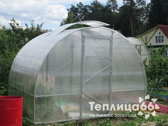 Теплица Рада 3М из поликарбоната, ширина 3 м